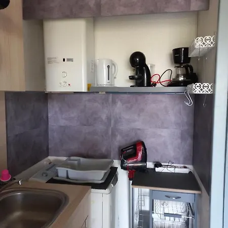 T2,33 M2,quartier Malfato Et Aqualand Lejlighed Agde